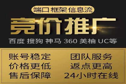 短视频平台的SEM推广实践与效果